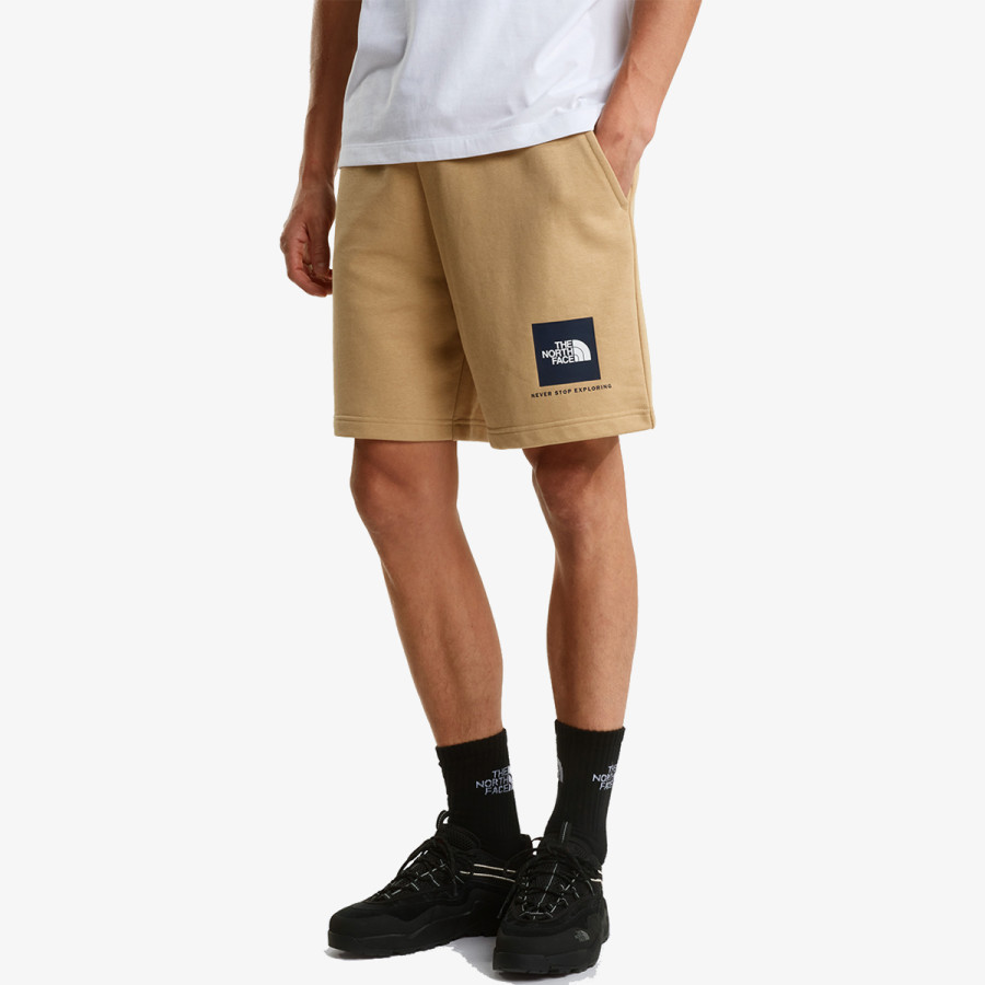 THE NORTH FACE Šorc BOX NSE LIGHT REGULAR SHORTS 